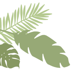 Leaves_blog_L_1