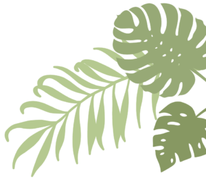 Leaves_blog_R_1
