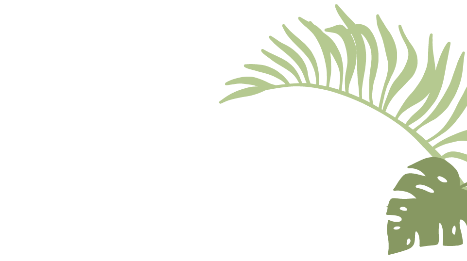 Leaves_bottom_R_Top_1